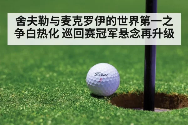 舍夫勒与麦克罗伊的世界第一之争白热化 巡回赛冠军悬念再升级
