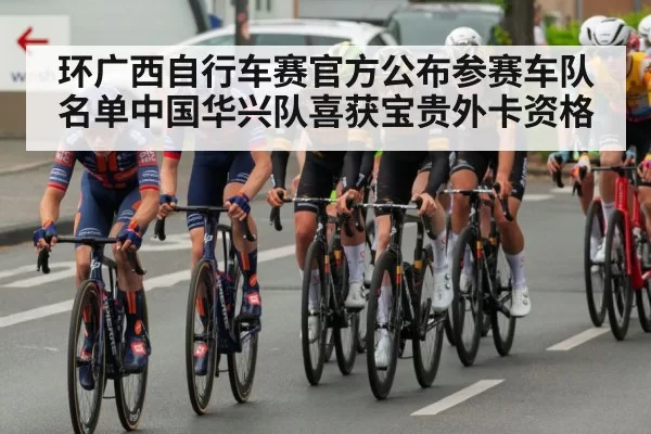 professional cycling race